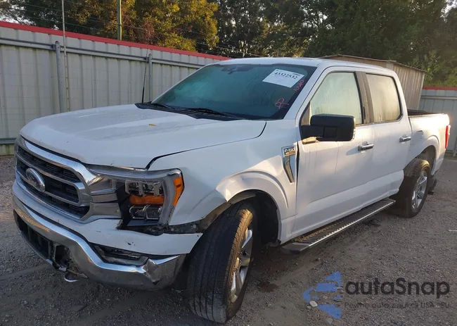 1FTFW1E85MKE79636: 43322532