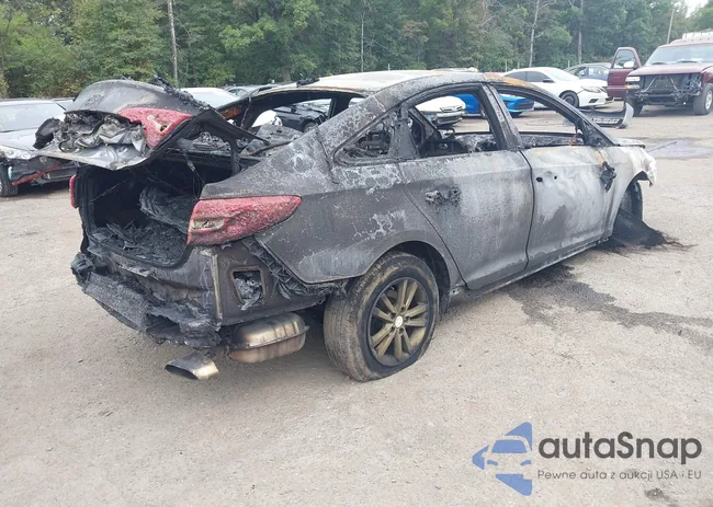 5NPE24AF3FH222781: 43323854