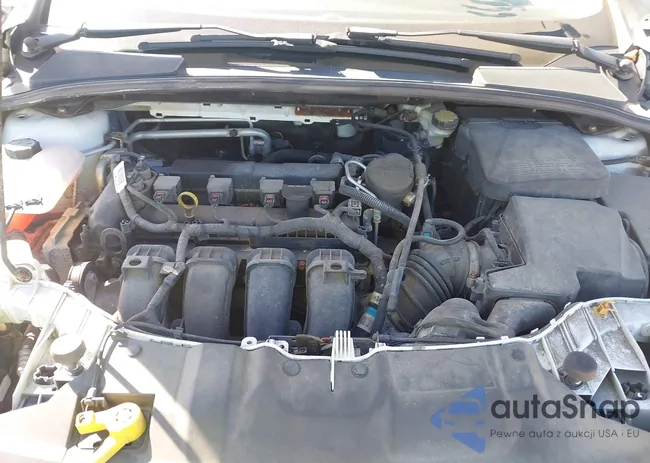 1FADP3F2XDL175857: 43323882