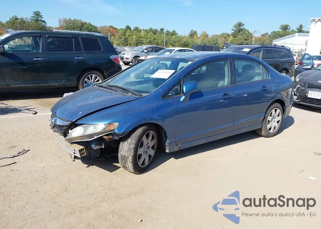 2HGFA1F58BH524903: 43323928