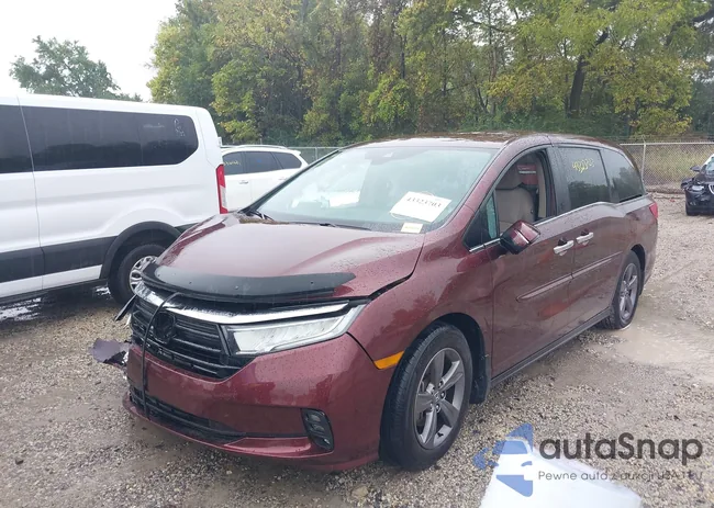 5FNRL6H55MB016347: 43323703