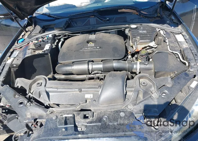 SAJWA0ES7DPU06258: 43324841