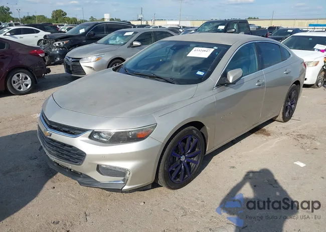 1G1ZF5SX2GF241314: 43324847