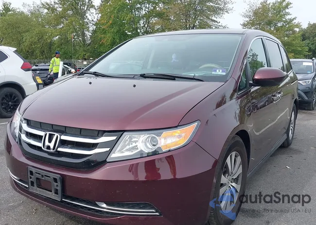 5FNRL5H65FB100528: 43325051