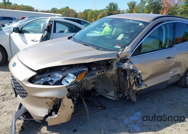 1FMCU9DZ3MUA65370: 43326819