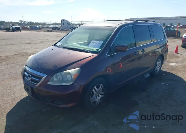 5FNRL38677B453679: 43326364