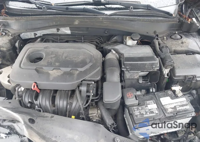 5XXGU4L31GG009041: 43327702