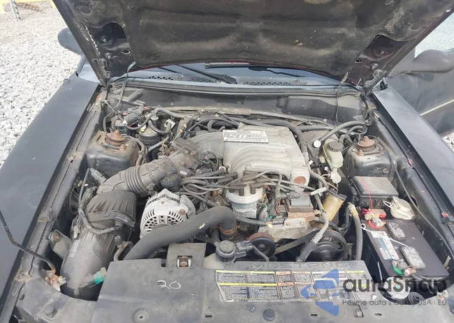 1FALP42T7SF142469: 43327947