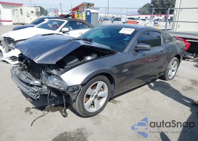 1ZVBP8CF5E5310199: 43328201