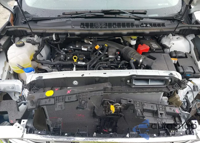 2FMPK4K99RBB27784: 43329091