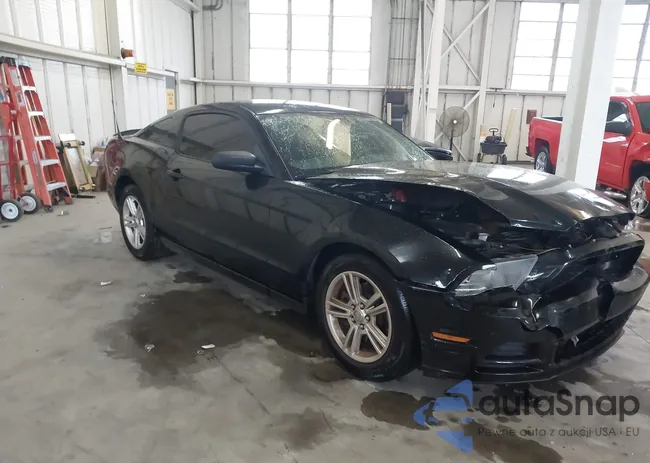 1ZVBP8AM8D5240360: 43329274