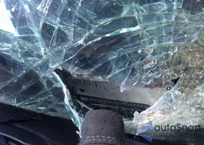 1N4BL4CW4LC100019: 43328687