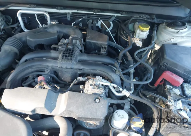 4S4BSAFC5K3218507: 43329691