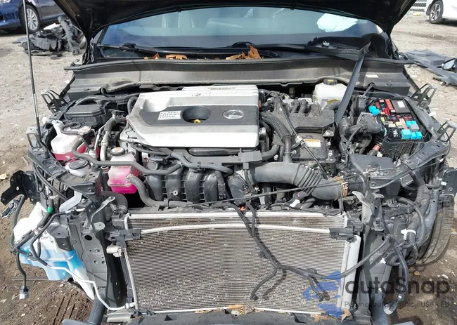 JTHR9JBH1L2023977: 43329804