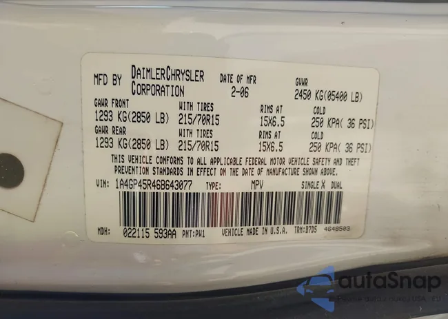 1A4GP45R46B643077: 43329888