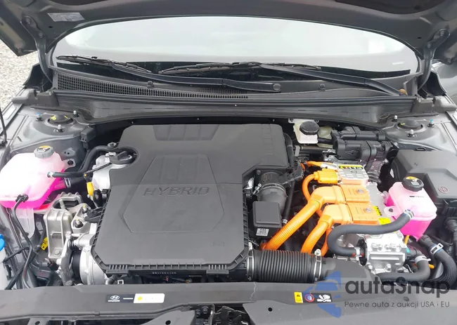 KMHLN4DJ5SU146247: 43330049