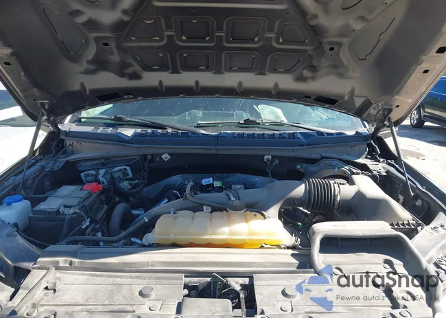 1FTEW1EP5KFC61365: 43330276