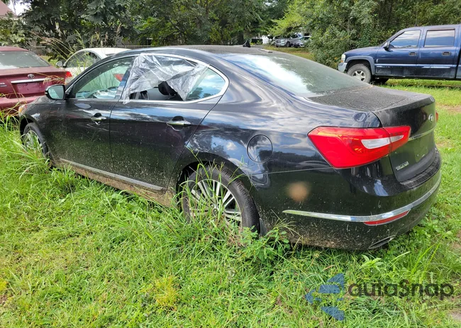 KNALN4D78E5167050: 43330968