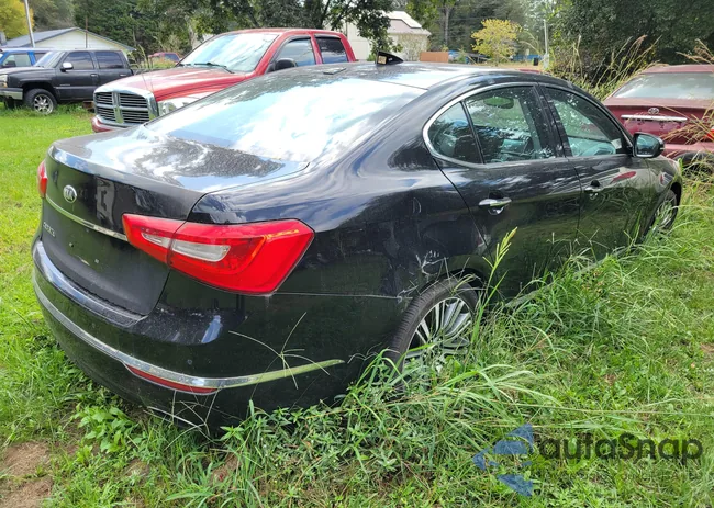 KNALN4D78E5167050: 43330968