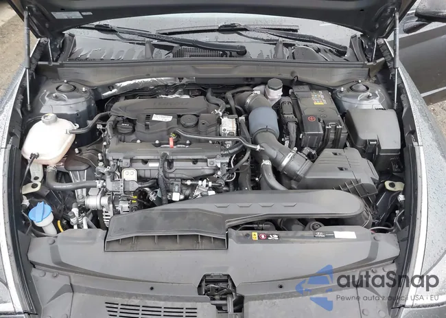 KMHL44J29NA222512: 43331247