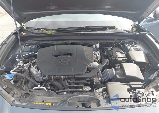 3MVDMBCM0RM605743: 43331292