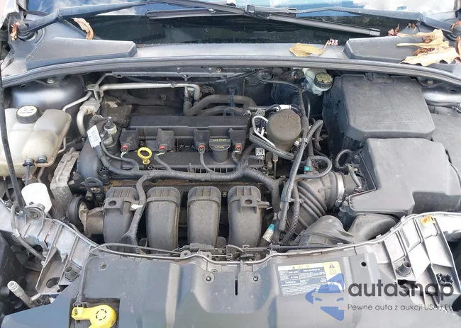 1FADP3F2XDL347238: 43331310