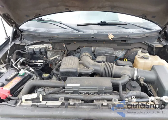 1FTPX14V09FA61252: 43331567