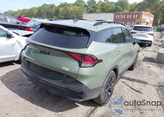 KNDPYDDH1S7190416: 43331646