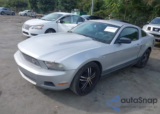 1ZVBP8AN0A5108603: 43333225