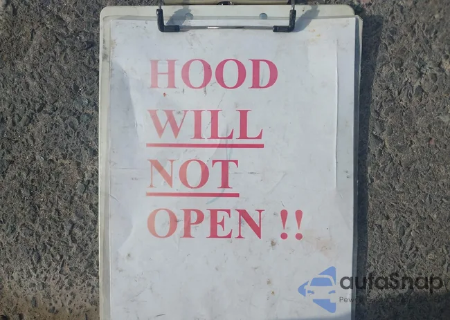 WBAFB33551LH16924: 43333732