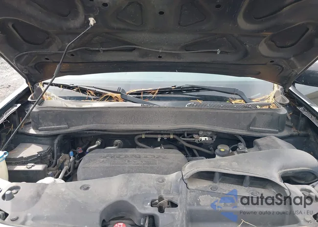 5FNYF4H55DB056810: 43333392