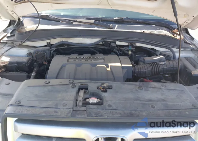 5FNYF18598B055700: 43334976