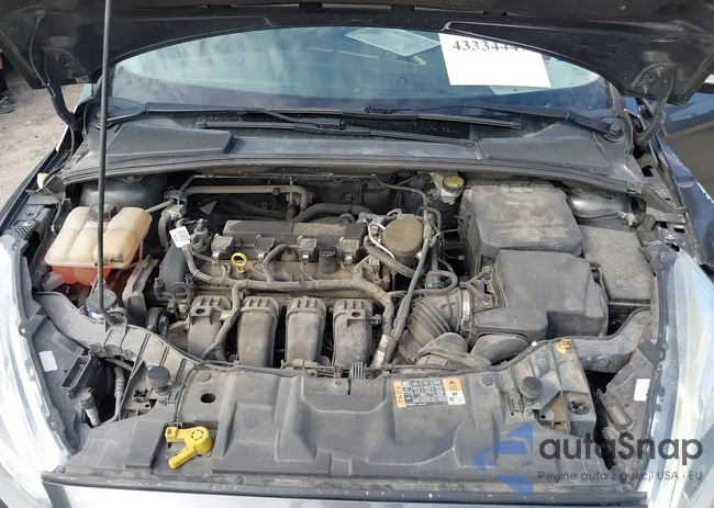 1FADP3J29GL309415: 43334449