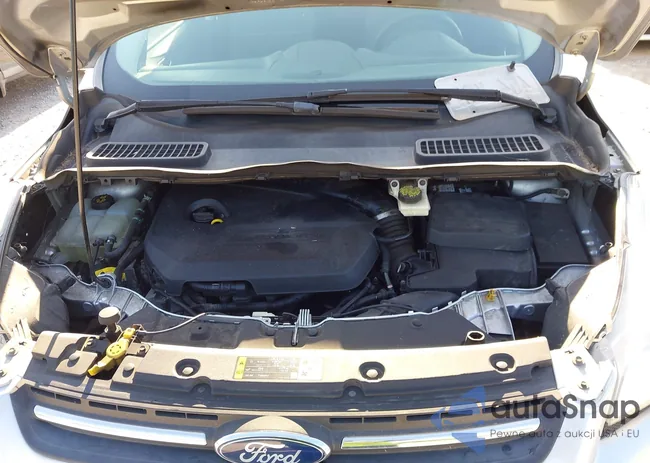 1FMCU9GX8EUA35910: 43334504