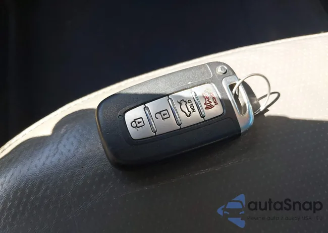 5NPEC4ACXDH678597: 43338042