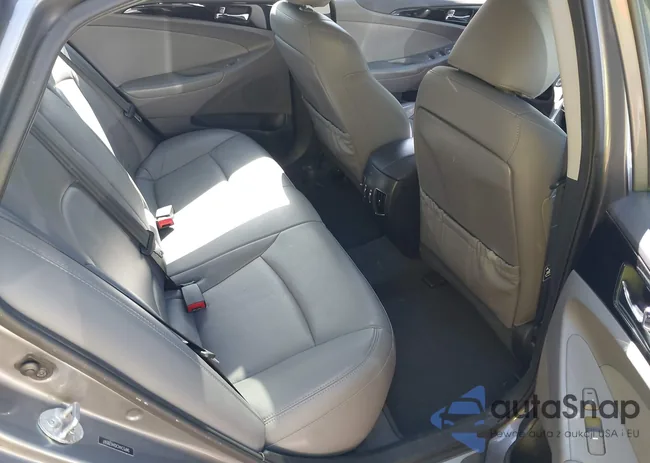 5NPEC4ACXDH678597: 43338042