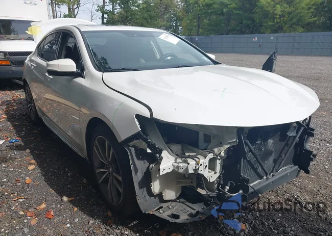 19UUB3F4XLA000496: 43338056