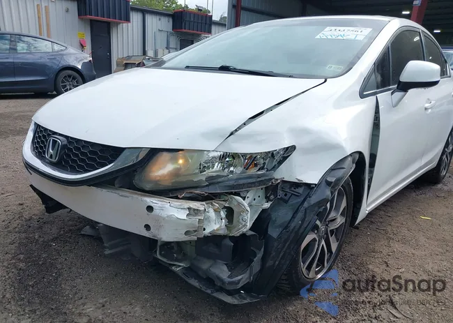 2HGFB2F81DH545804: 43337561