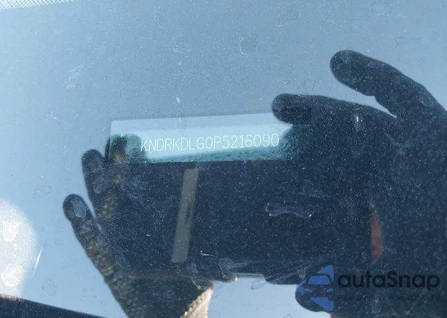 KNDRKDLG0P5216090: 43339009