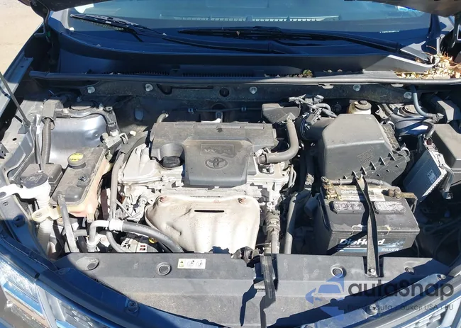 JTMBFREV4ED068916: 43339070