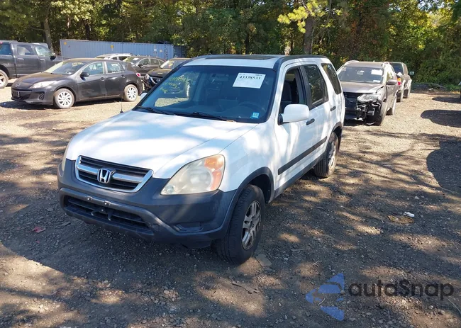 SHSRD78854U251501: 43338533