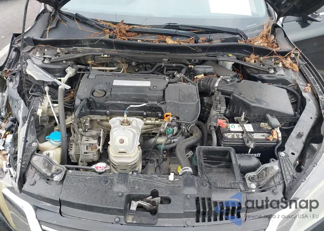 1HGCR2F51FA264026: 43340051