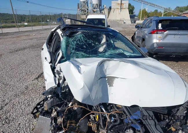 WVWEB7CD4NW126843: 43340061