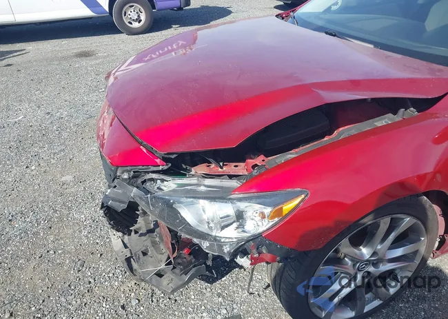 JM1GJ1W51F1219542: 43339418