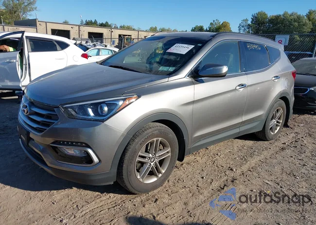 5NMZUDLB9JH065799: 43339456