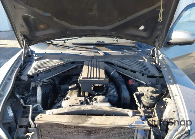 5UXFE43558L004841: 43339667