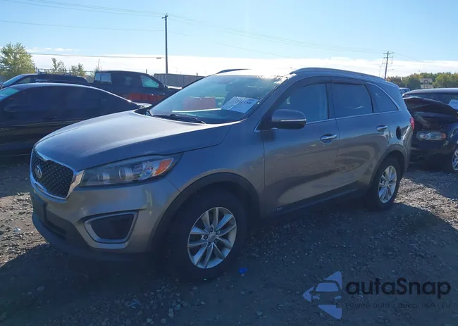 5XYPGDA53GG072441: 43341188