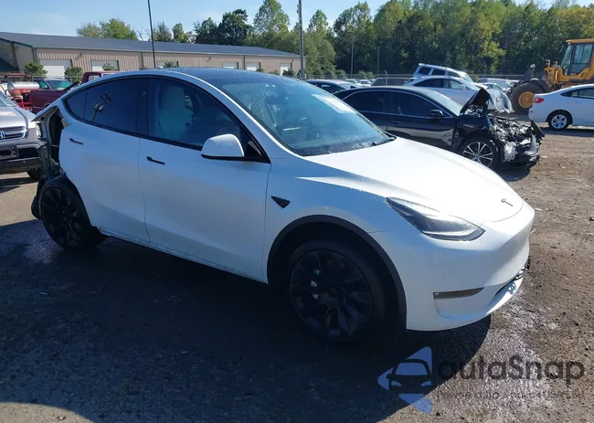 7SAYGDEE6PF830331: 43341273