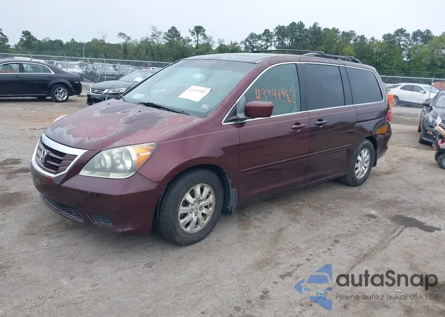 5FNRL38638B405307: 43341982