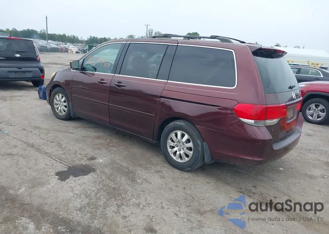 5FNRL38638B405307: 43341982